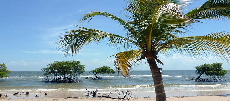 Einsame Traumstrände